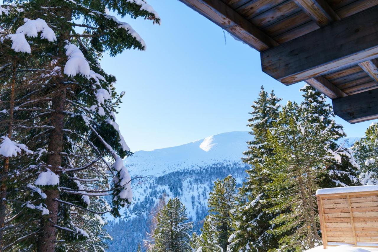 Luxalps- Turrach Alm Chalets Nr 1-4 Gruensee- Sauna- Skifahren- Wandern- Natur Turracher Hoehe Exterior photo